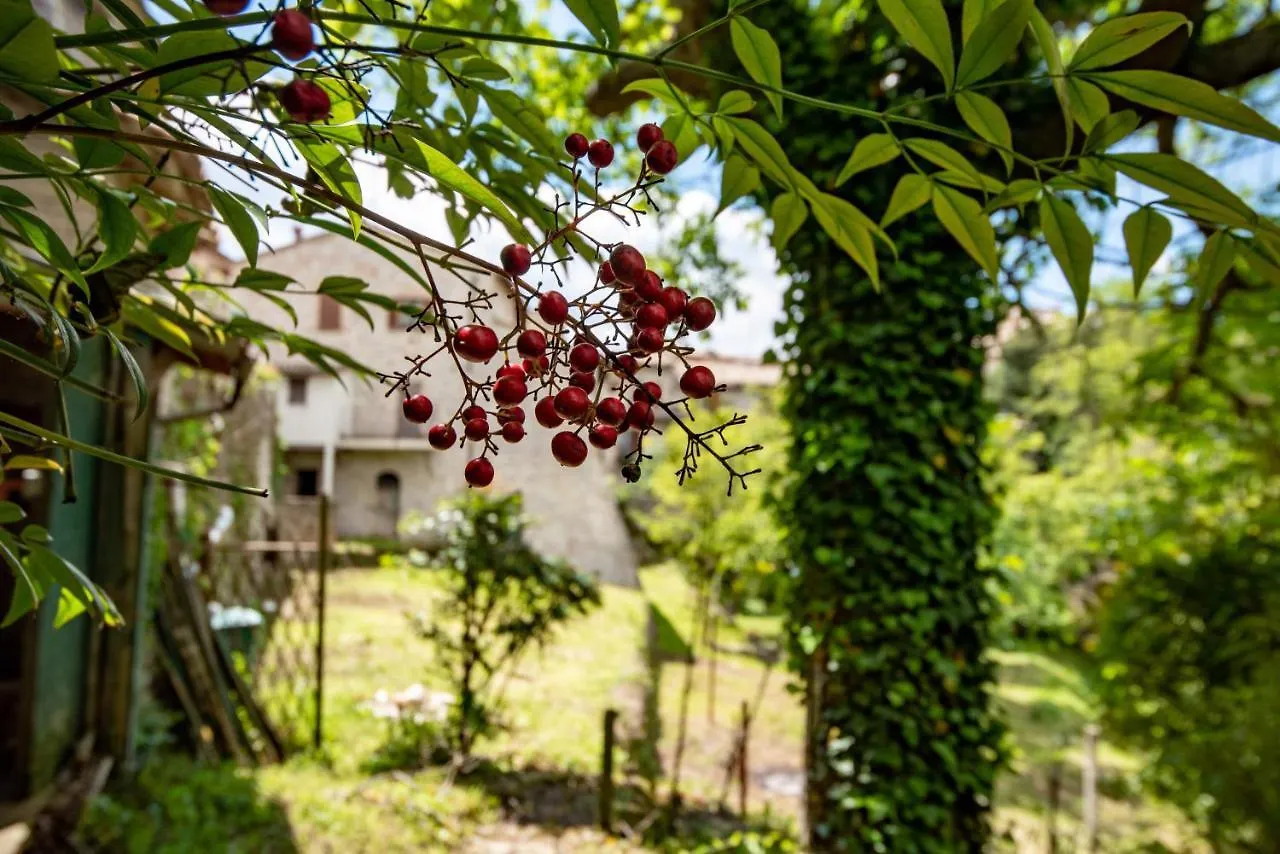 Perfetta Letizia Casa Vacanza Apartment Assisi Italy